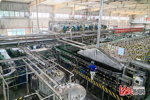 激發(fā)消費新活力 品質(zhì)體驗燕趙行 活動 第二站走進(jìn)滄州