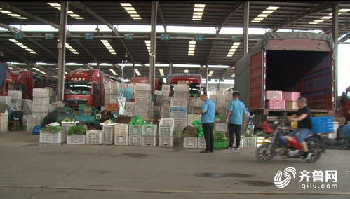 今日聚焦 山東匡山農(nóng)產(chǎn)品綜合交易市場 嚴(yán)格 雙證 查驗 不合格農(nóng)產(chǎn)品將就地銷毀