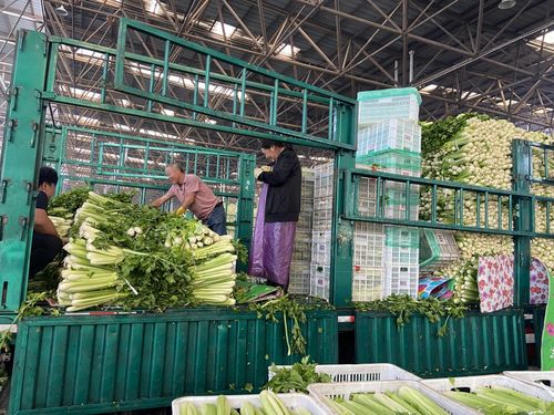 菜價(jià)波動(dòng)后逐漸回落,如何拎穩(wěn) 菜籃子