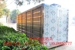 翱翔 放飛籠 訓放籠 賽鴿集裝箱產(chǎn)品展示